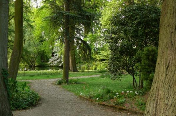 Manoir De La Peylouse Acomodação com café da manhã Saint-Venant Exterior foto